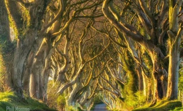 Suntana at Causeway Coast&Glens Villa Coleraine Bagian luar foto